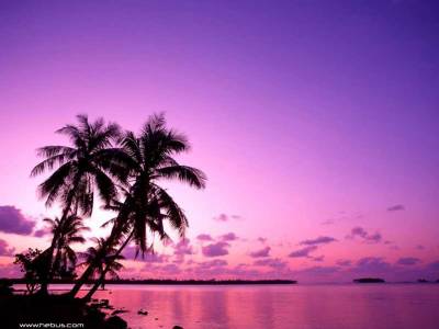ET TON PARADIS?